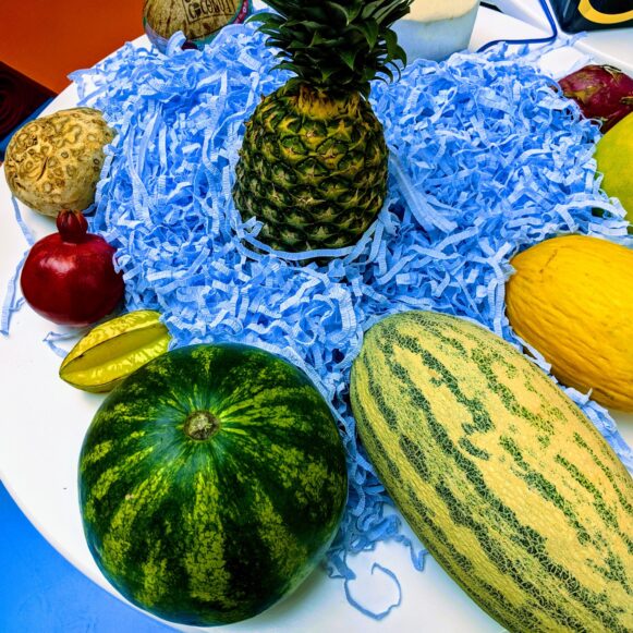 Фруктовый диджей (Fruit DJ)
